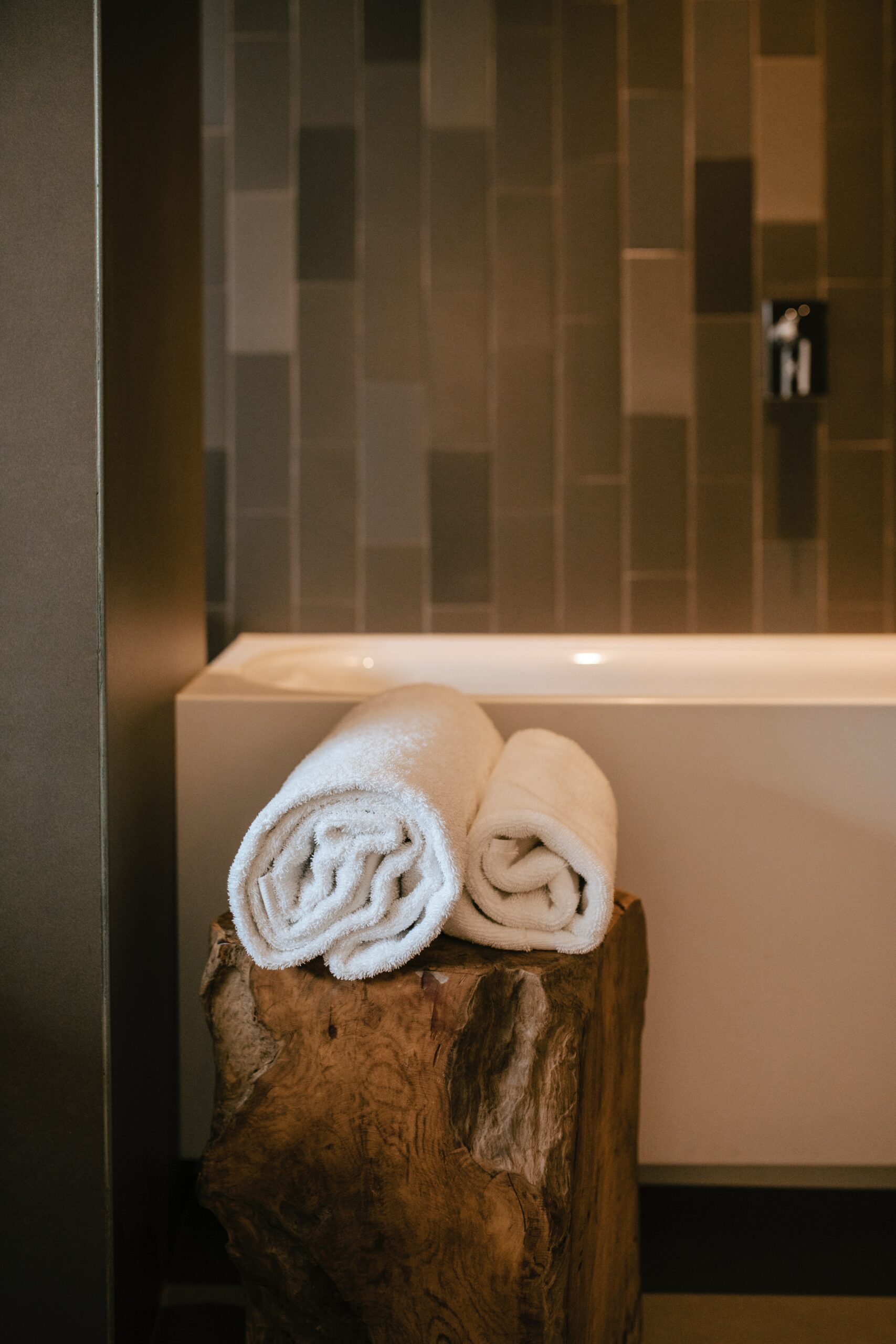 lisha-riabinina-8BKCTwQLEHs-unsplash